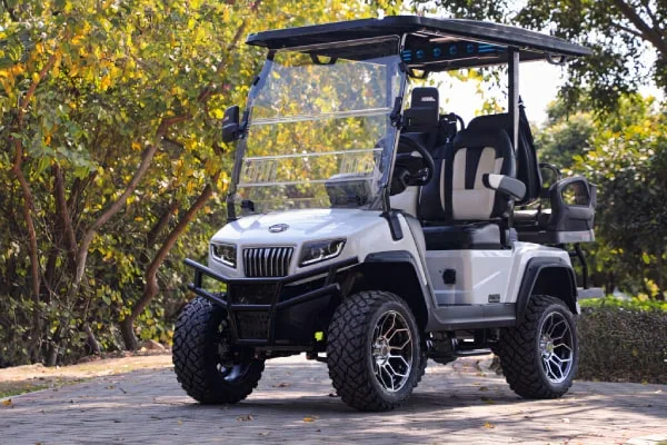 Golf Carts for sale in Arkansas, Louisiana, Georgia areas Golf Carts for sale in Arkansas, Louisiana, Georgia areas